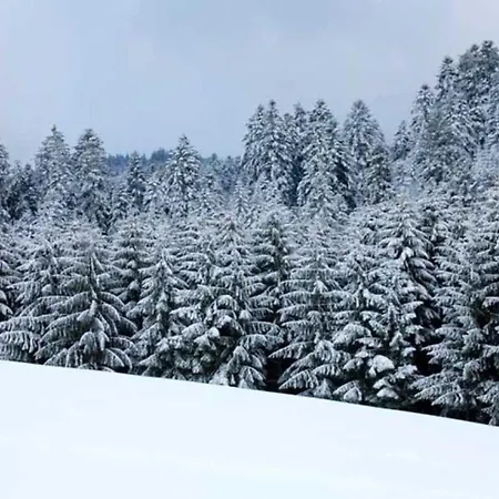 Aeckerhof *