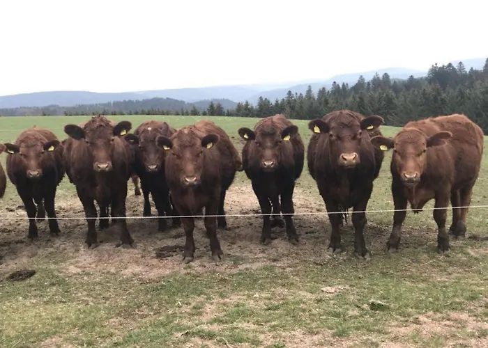 Semesterbostad äckerhof *